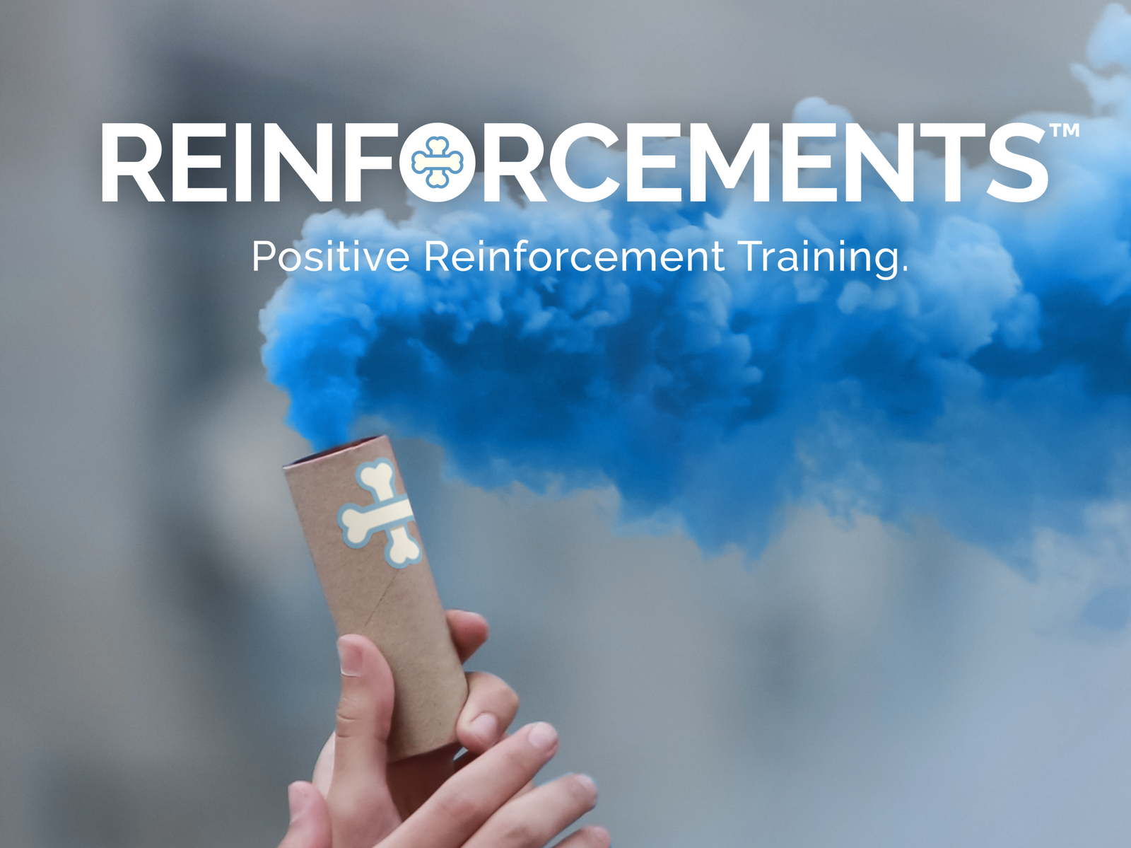 Reinforcements Dog Training