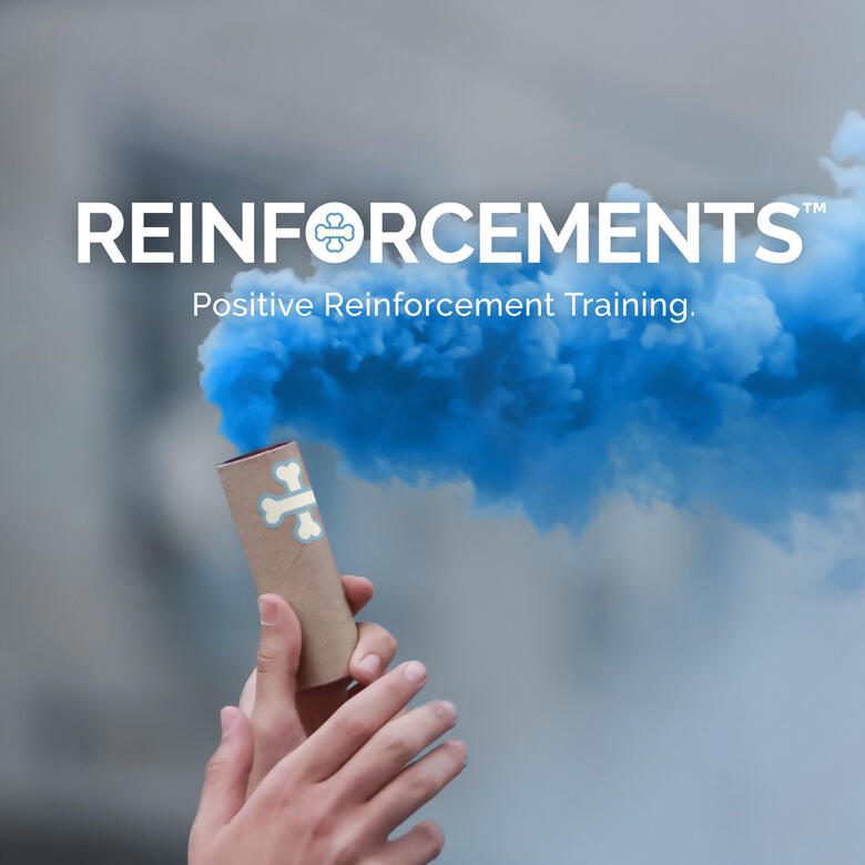 Reinforcements